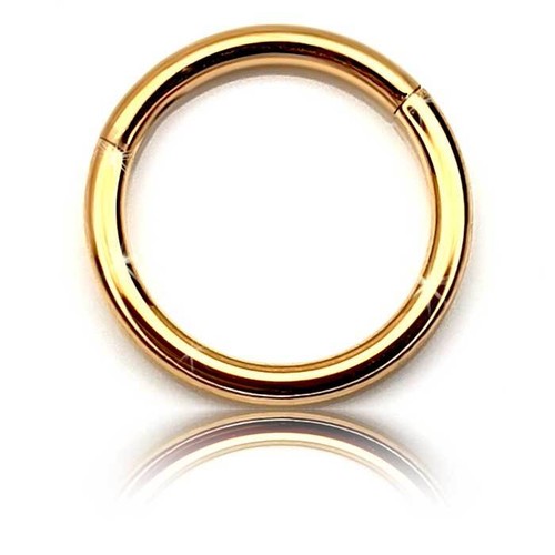 Anello segmento acciaio - segmento, in