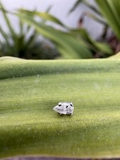 Dermal Top Forma Pera 4mm