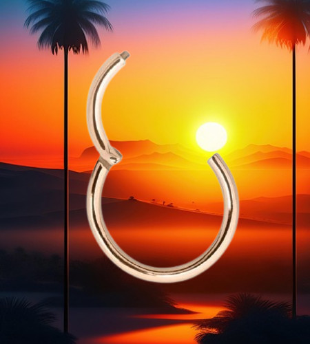 Piercing clicker ring - piercing, erotico